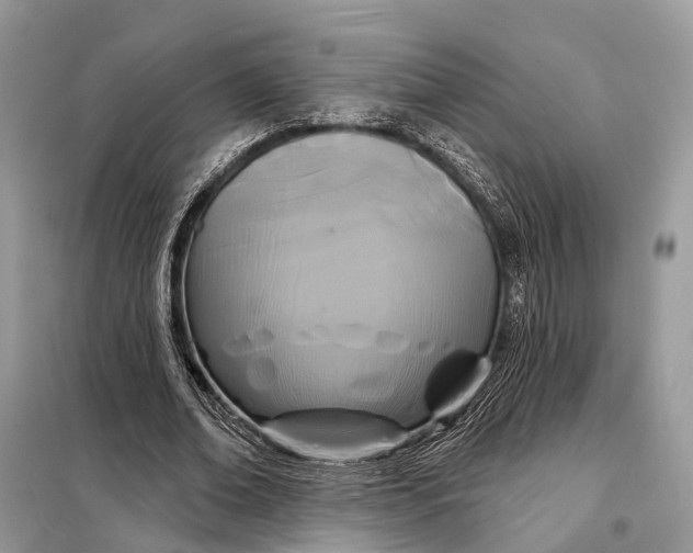 X0000098210678200805081135