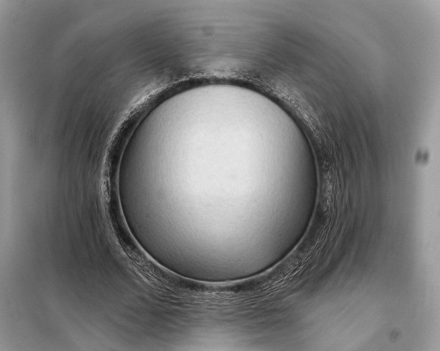 X0000098210680200805081135