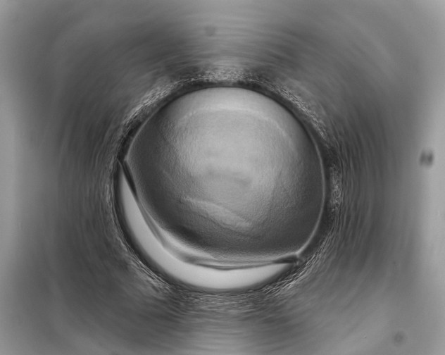 X0000098210681200805081135