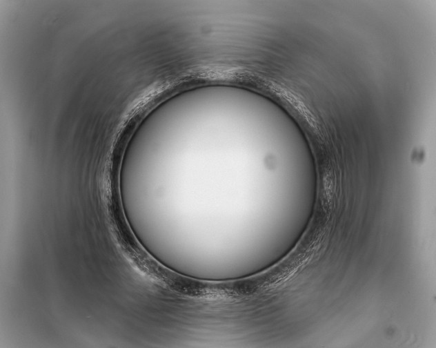X0000098210682200805081135
