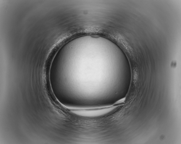 X0000098210684200805081135