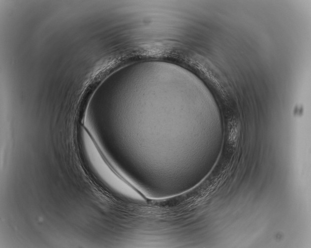 X0000098210685200805081135
