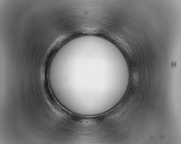 X0000098210686200805081135