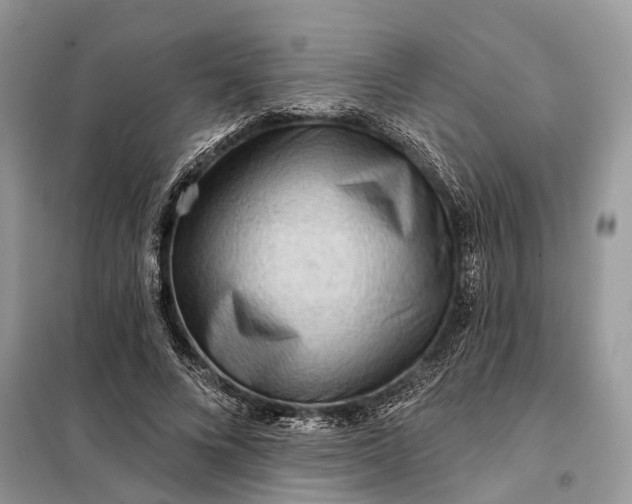 X0000098210688200805081135