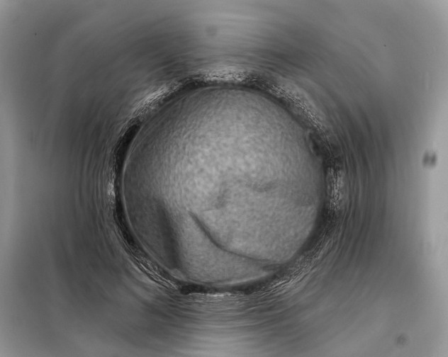 X0000098210692200805081135