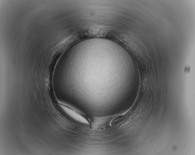 X0000098210693200805081135
