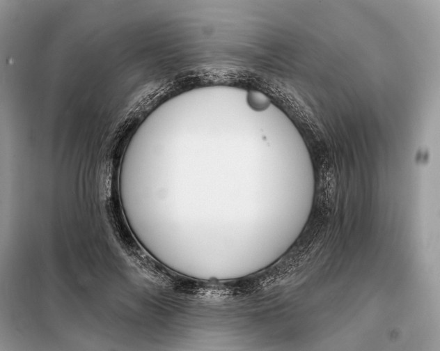 X0000098210694200805081135