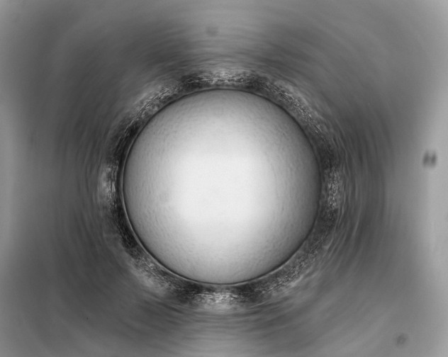 X0000098210695200805081135