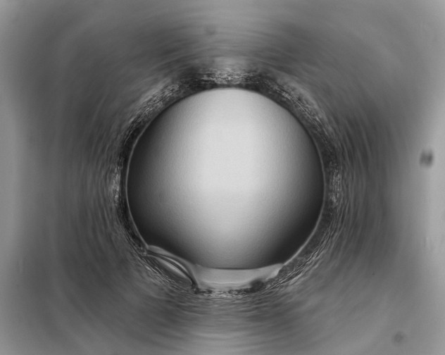 X0000098210697200805081135