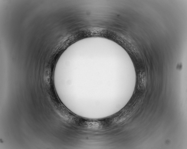 X0000098210698200805081135