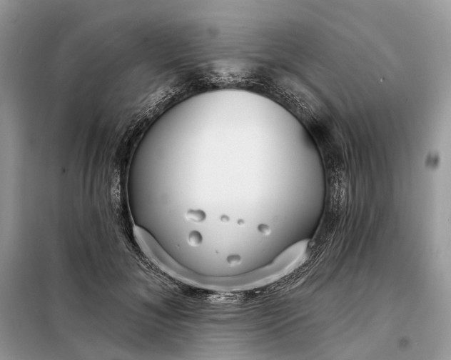 X0000098210700200805081135