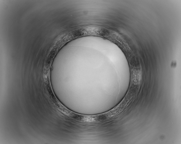 X0000098210701200805081135