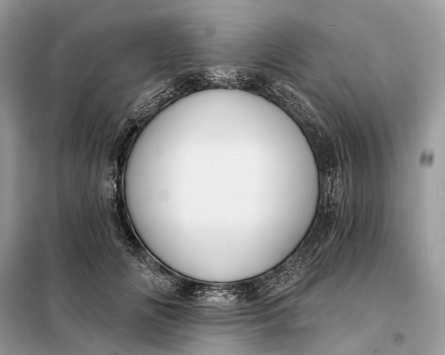 X0000098210702200805081135