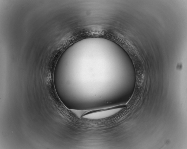 X0000098210704200805081135