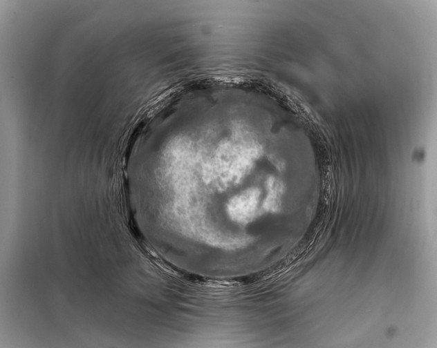 X0000098210707200805081135