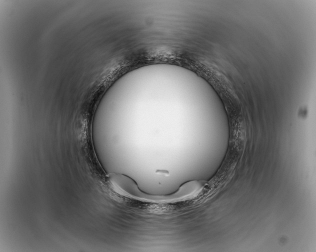 X0000098210708200805081135