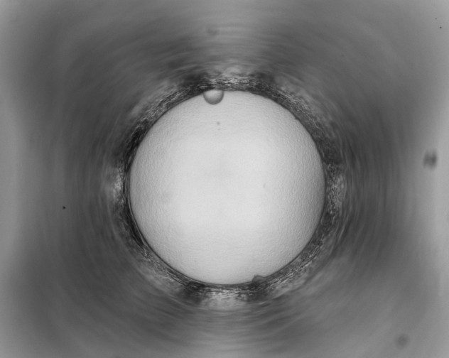 X0000098210709200805081135