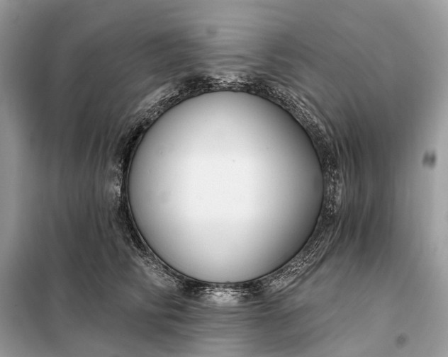 X0000098210710200805081135