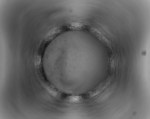 X0000098210711200805081135