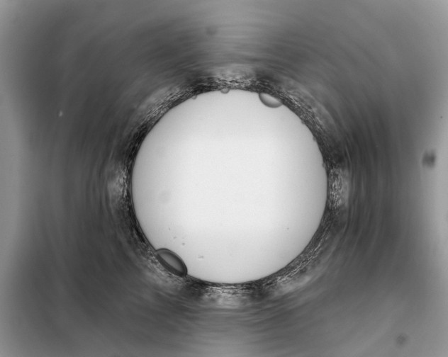 X0000098210713200805081135