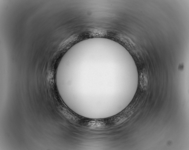 X0000098210714200805081135