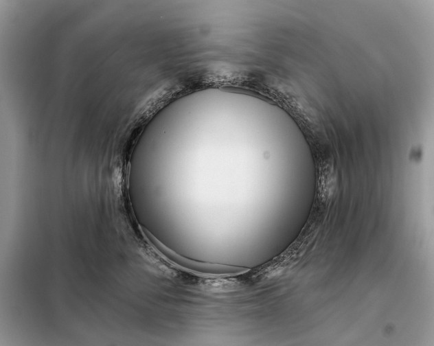 X0000098210716200805081135
