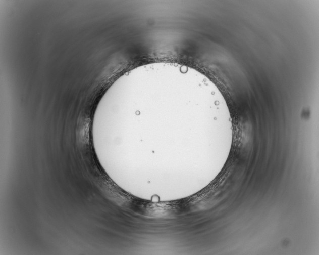 X0000098210717200805081135
