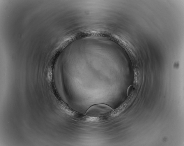X0000098210718200805081135