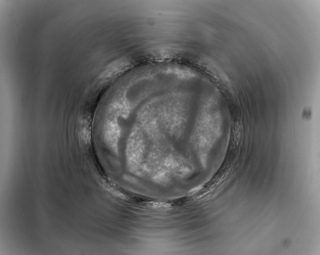 X0000098210719200805081135