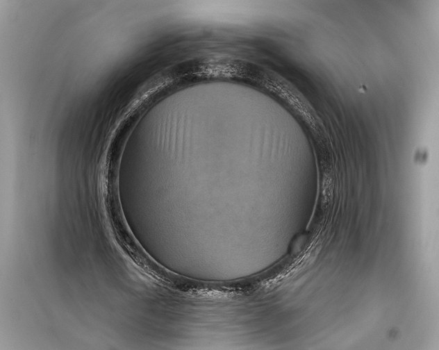 X0000098210722200805081134