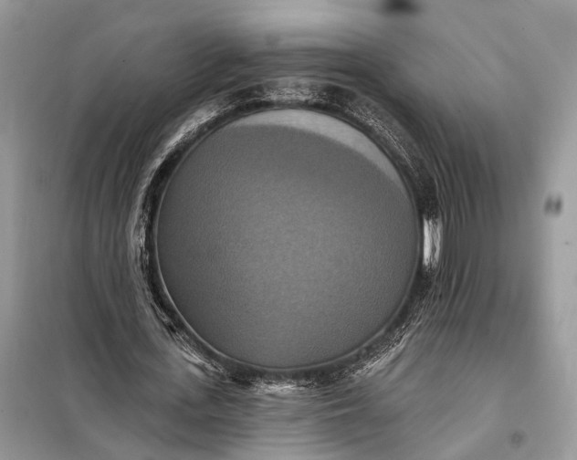 X0000098210723200805081134