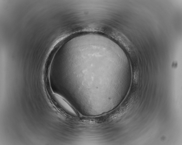 X0000098210724200805081134