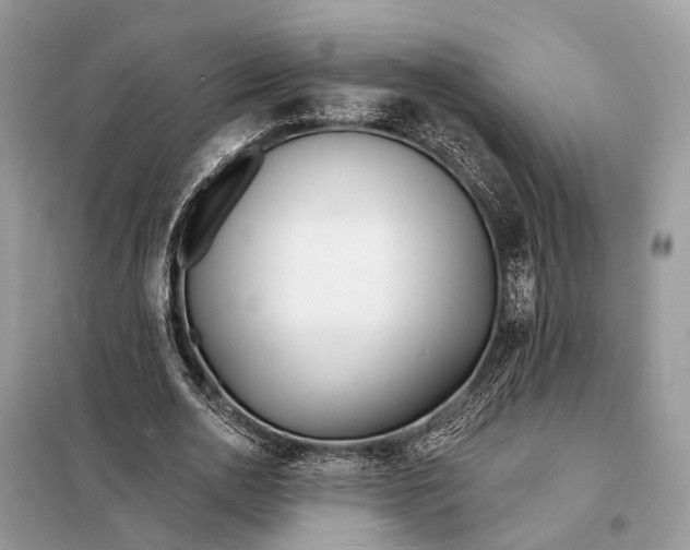 X0000098210726200805081134
