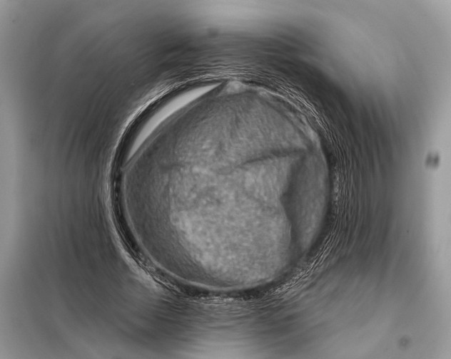 X0000098210730200805081134
