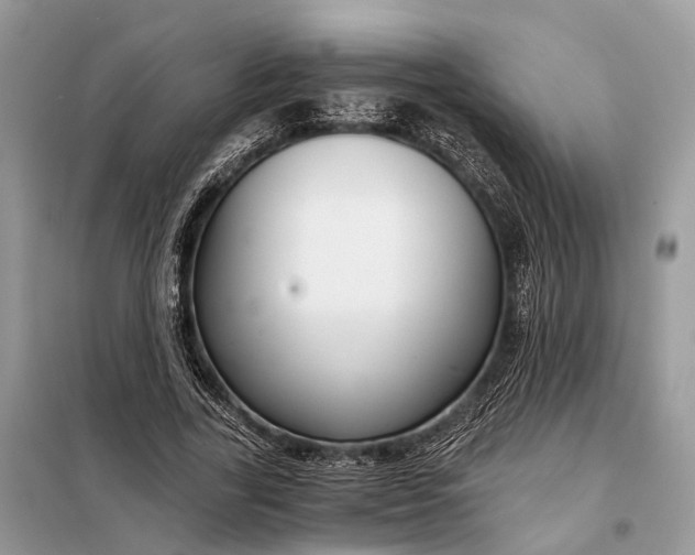 X0000098210731200805081134