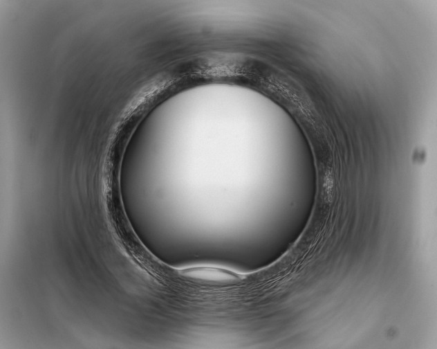 X0000098210732200805081134