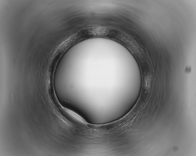 X0000098210733200805081134