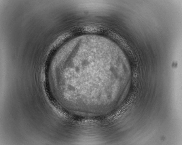 X0000098210734200805081134