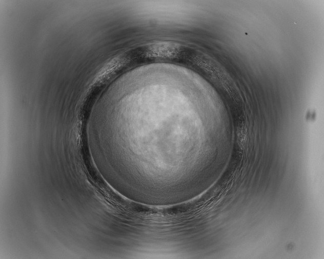 X0000098210735200805081134