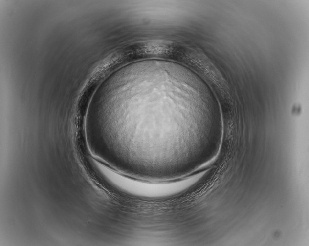 X0000098210736200805081134