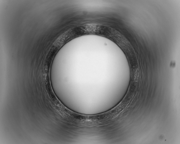 X0000098210737200805081134