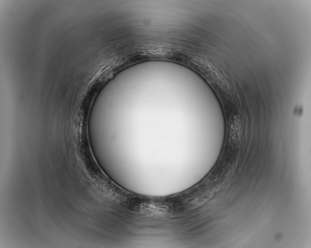 X0000098210739200805081134