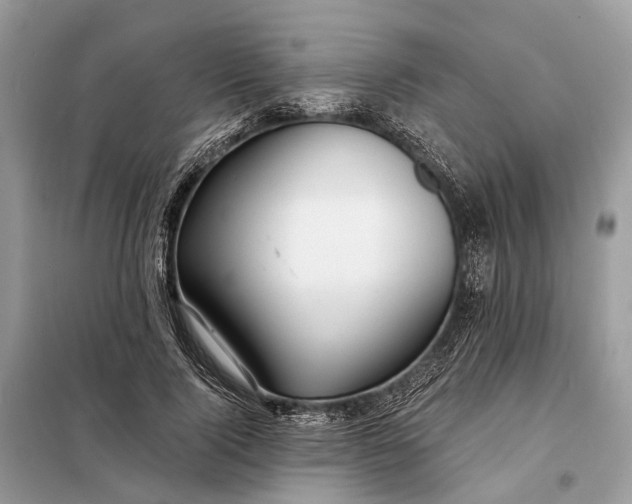 X0000098210740200805081134