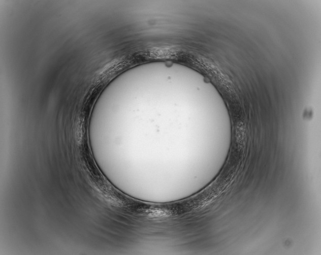 X0000098210741200805081134