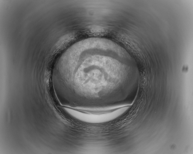 X0000098210742200805081134