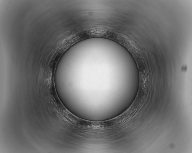X0000098210745200805081134