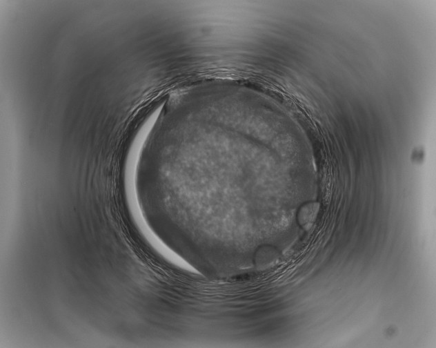 X0000098210747200805081134