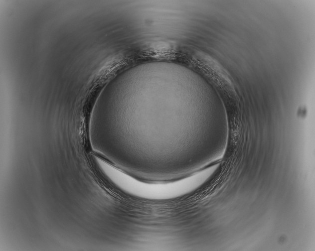 X0000098210748200805081134