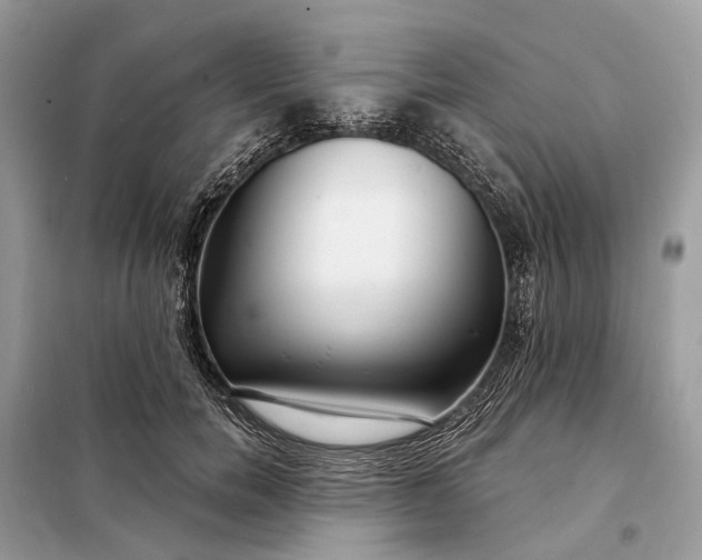 X0000098210750200805081134