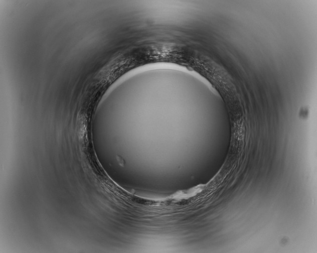 X0000098210754200805081134